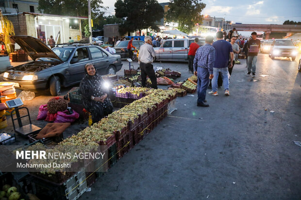 بازار داغ انگور در اردبیل