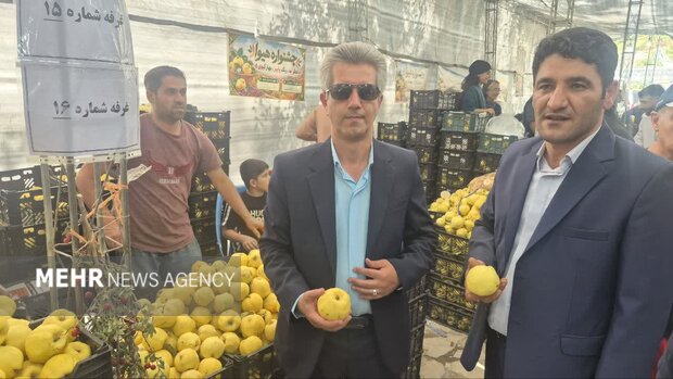 جشنواره «به» گیوی؛ پاییز برداشت، بهار شکوفایی