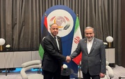 Araghchi meets Libyan counterpart in Baghdad for OIC meeting