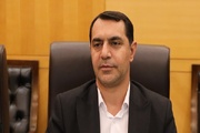 زارع: گرانی بنزین مصرف را کاهش نمی‌دهد؛ خودروهای باکیفیت وارد کنیم