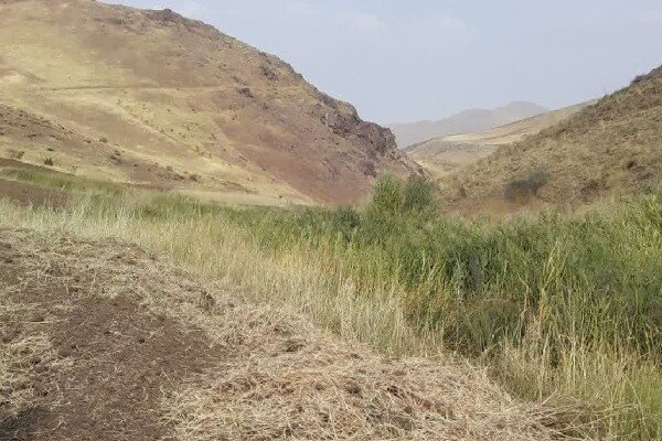 رئیس منابع طبیعی سنقر: پرونده تصرف اراضی ملی روستای سردره تشکیل شد