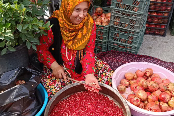 جشنواره انار در بهشهر