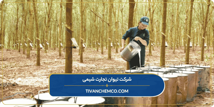 انواع فراورده‌های چوبی چیست؟