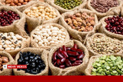 هشدار درباره قیمت حبوبات؛ ثبات بازار به تأمین ارز گره خورد