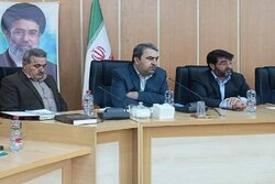 قیمت تمام‌شده مرغ زیر ۳۳۰ هزار تومان مرغداران را متضرر می‌کند