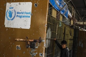 ورلڈ فوڈ پروگرام نے غزہ کے لیے امدادی سرگرمیاں محدود کردیں