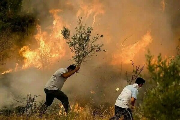 آتش سوزی در جنگل های بلوط سردشت مهار شد؛ خسارت حریق به نیم هکتار