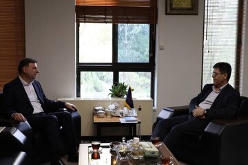 زارع: ساختار مستقل شرکت برق استان بوشهر ایجاد شود