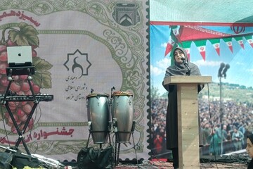 مهاجرانی: سرزمین آفتاب ترنج قالی ایران و بخشی از هویت تمدنی کشور است