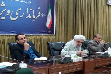 افراد سودجو همکار در سقط جنین غیرقانونی شناسایی شوند