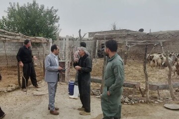 بازدید سرزده از عملکرد اکیپ واکسیناسیون دامپزشکی روانسر