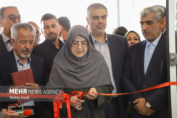 سفر سخنگوی دولت به اراک