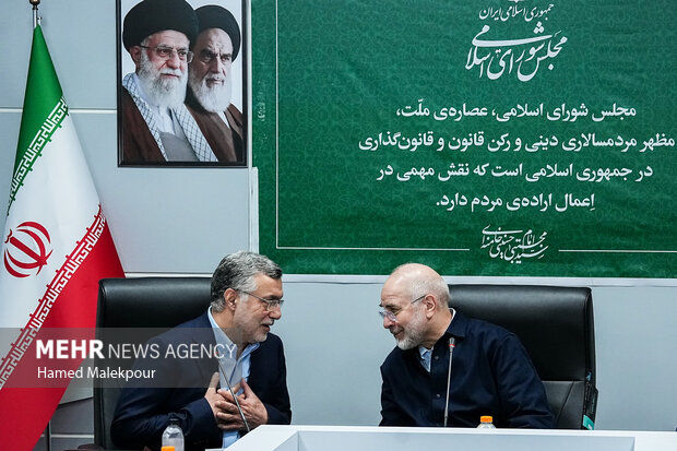 نشست بررسی مسائل حوزه بهداشت، درمان و سلامت با حضور رئیس مجلس