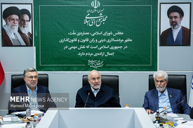 نشست بررسی مسائل حوزه بهداشت، درمان و سلامت با حضور رئیس مجلس