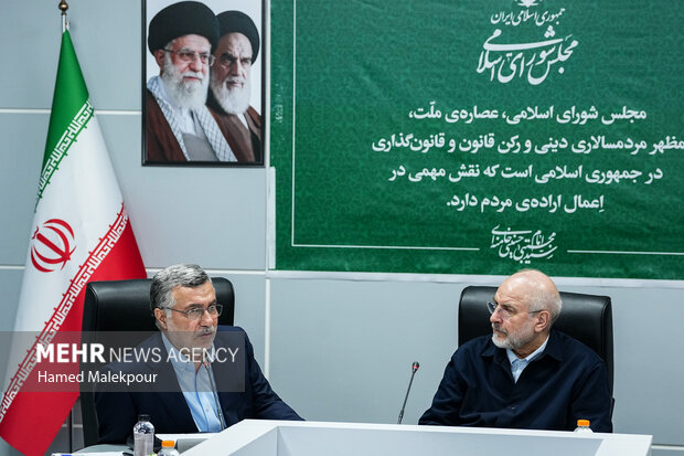 نشست بررسی مسائل حوزه بهداشت، درمان و سلامت با حضور رئیس مجلس