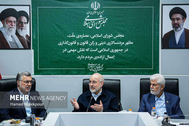 نشست بررسی مسائل حوزه بهداشت، درمان و سلامت با حضور رئیس مجلس