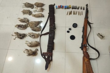 سه متخلف شکار و صید در شهرستان گناوه دستگیر شدند
