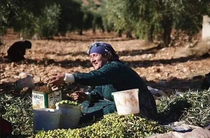 ژیان دوای گەڕانەوە بۆ کوردستان؛قەیرانی بێکاری و بێ بژیویی بڕستی کورد سووریا دبڕێت