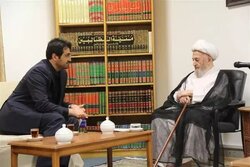 آیت‌الله سبحانی: رونق اقتصادی در گرو تسهیل فعالیت کسب‌وکارهاست