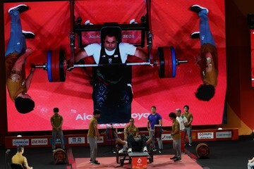 ahmad aminzadeh
