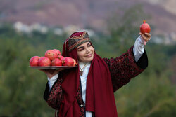 جشنواره ملی انار نمهیل خلخال