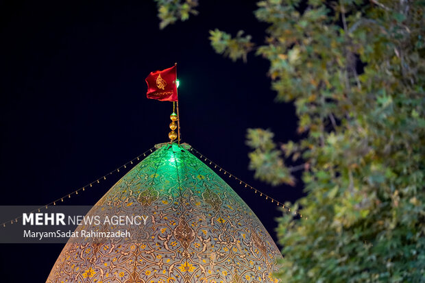سالگرد شهیده کرباسی در شیراز
