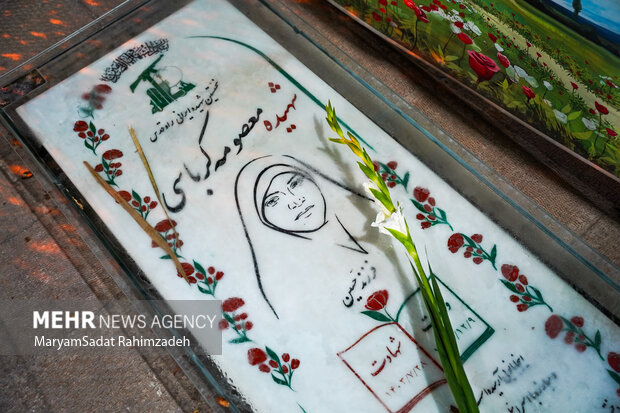 سالگرد شهیده کرباسی در شیراز