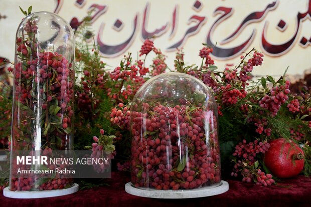 جشنواره <a href='https://sayeb.ir/tag/%d8%b2%d8%b1%d8%b4%da%a9'></div>زرشک</a> در قائنات