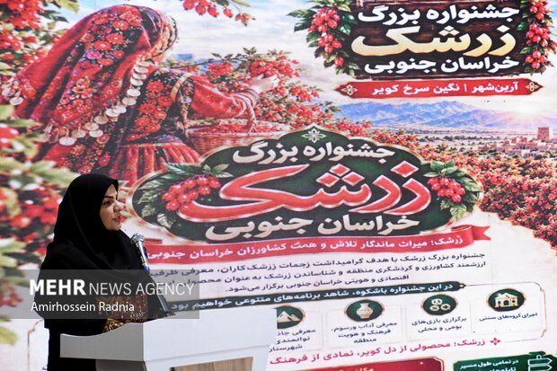 جشنواره <a href='https://sayeb.ir/tag/%d8%b2%d8%b1%d8%b4%da%a9'></div>زرشک</a> در قائنات