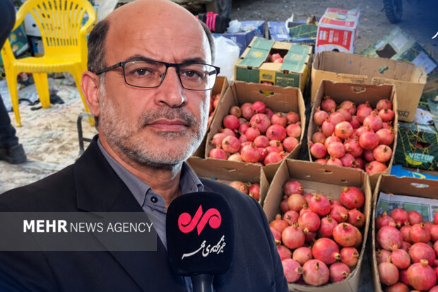 انار نمهیل؛ فرصتی برای رونق گردشگری <a href='https://sayeb.ir/tag/%d8%ae%d9%84%d8%ae%d8%a7%d9%84'></div></div></div></div></div>خلخال</a>