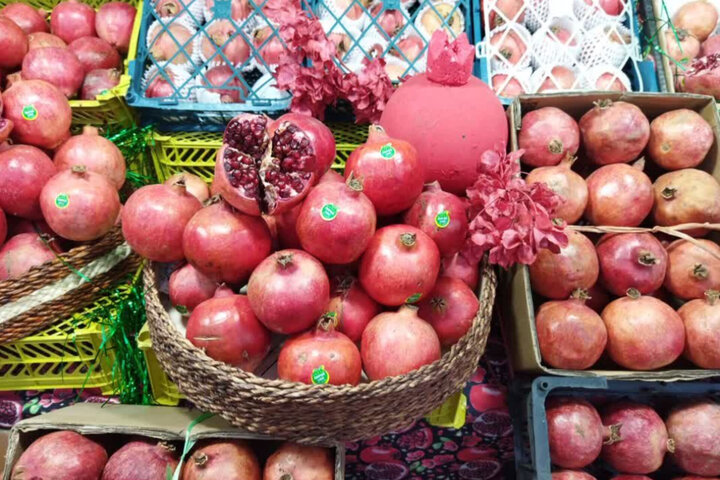 انار نمهیل؛ فرصتی برای رونق گردشگری <a href='https://sayeb.ir/tag/%d8%ae%d9%84%d8%ae%d8%a7%d9%84'></div></div></div></div></div>خلخال</a>