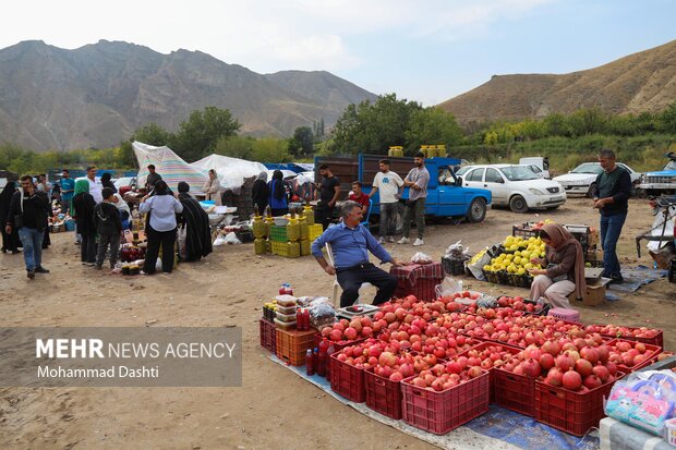 جشنواره ملی انار نمهیل خلخال