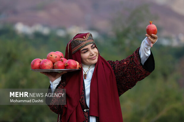 جشنواره ملی انار نمهیل خلخال