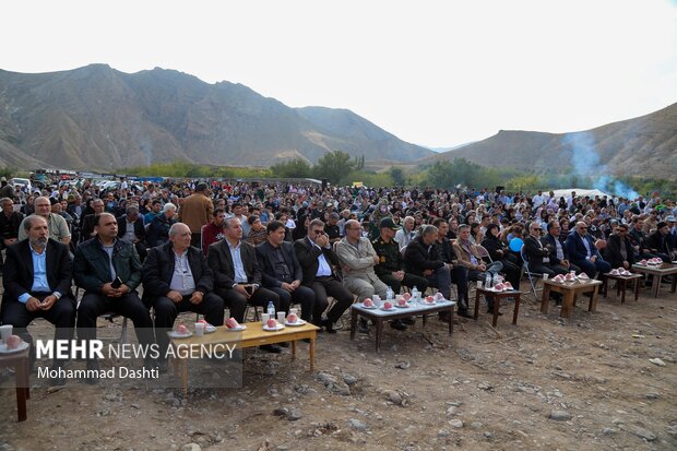 جشنواره ملی انار نمهیل خلخال