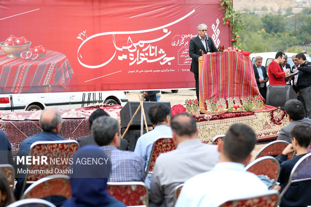 جشنواره ملی انار نمهیل خلخال