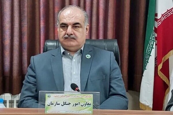 پورمقدم: سند مدیریت پایدار جنگل‌های زاگرس به‌زودی ابلاغ می‌شود