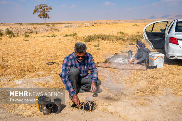 برداشت عسل  در روستای گوارشک خراسان رضوی