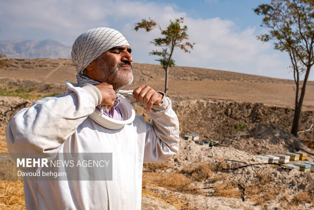 برداشت عسل در روستای گوارشک خراسان رضوی