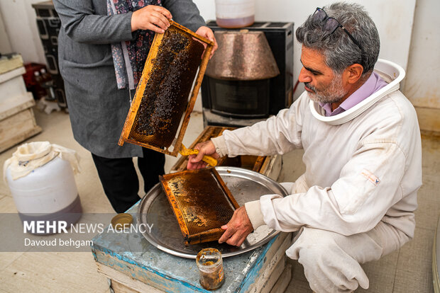 رابر؛ قطب عسل کرمان در چنبره خشکسالی و بی‌برندی