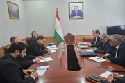 مقامات فرهنگی جمهوری اسلامی ایران و تاجیکستان دیدار کردند