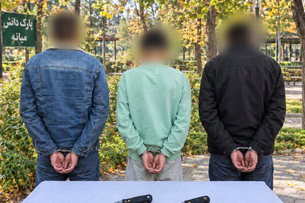 دستگیری ۳ نفر از مخلان نظم عمومی در میانه