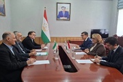 تشکیل کارگروه مشترک فرهنگی ایران و تاجیکستان