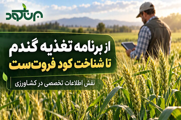 از برنامه تغذیه گندم تا شناخت کود فروت‌ست