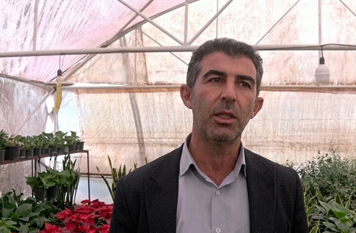 وقتی گرانی زمین، خلاقیت را به پشتبام میکشاند