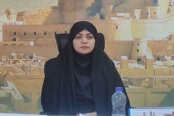 ضرورت توجه جدی به جایگاه و پتانسیلهای گردشگری شهرستان بم