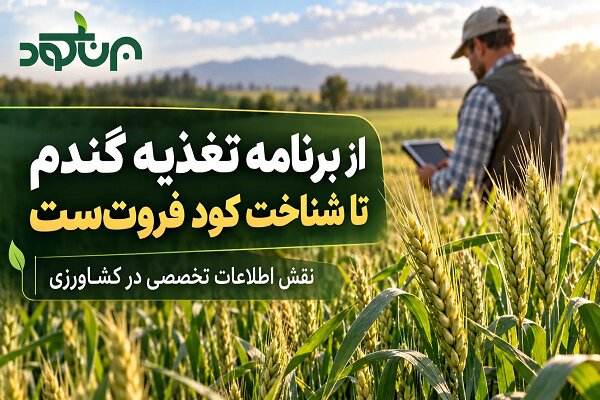 از برنامه تغذیه گندم تا شناخت کود فروت‌ست