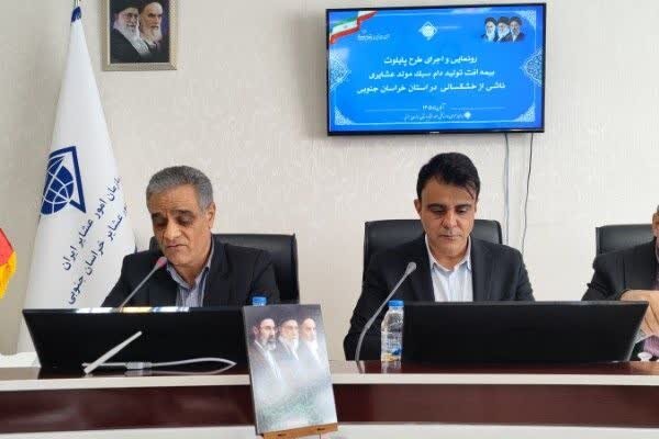 خشکسالی هم بیمه شد؛ طرح حمایتی جدید برای دام عشایر خراسان جنوبی