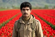 شهید «سیروس مرسلی» پاسدار وظیفه‌ای که دلداده حریم وطن شد