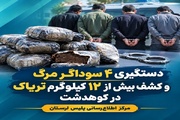 کشف بیش از ۱۲ کیلوگرم تریاک در کوهدشت