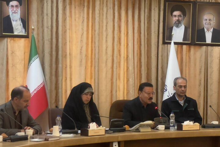 محمدی: بانوان در مدیریت مصرف انرژی نقش محوری دارند